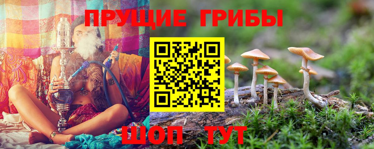 Чернушка  Галлюциногенные грибы Magic Shrooms  Галлюциногенные грибы Psilocybe  Вход с VPN 